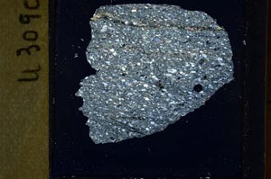 Cross Polarized, S44408