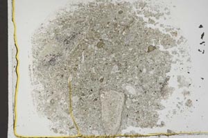 Plane Polarized, S44444