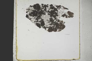 Plane Polarized, S44447