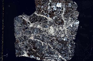 Cross Polarized, S44472