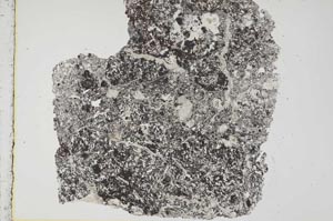 Plane Polarized, S44472