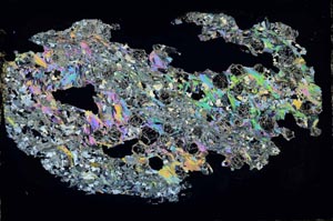 Cross Polarized, S44493