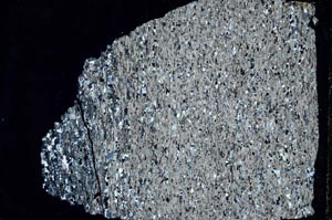 Cross Polarized, S44494