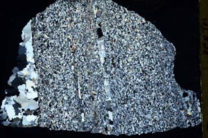 Cross Polarized, S44497