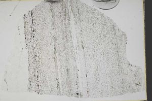 Plane Polarized, S44497