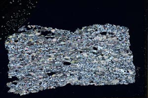 Cross Polarized, S44498