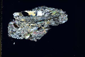 Cross Polarized, S44499