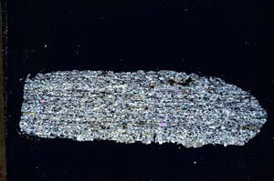 Cross Polarized, S44500