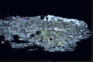 Cross Polarized, S44501