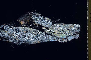 Cross Polarized, S44502