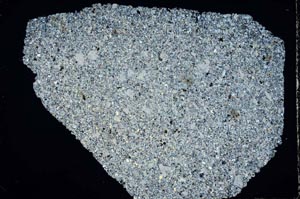 Cross Polarized, S44503