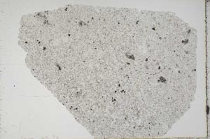 Plane Polarized, S44503