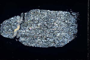 Cross Polarized, S44504