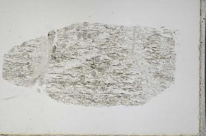 Plane Polarized, S44504