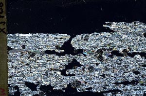 Cross Polarized, S44505