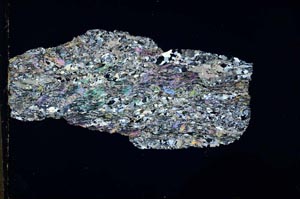 Cross Polarized, S44506