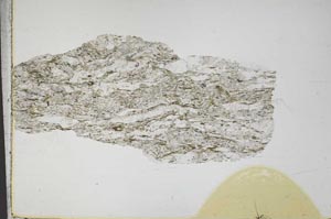 Plane Polarized, S44506