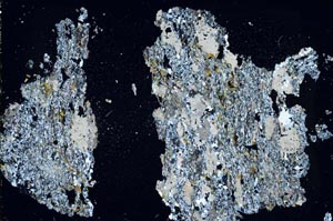 Cross Polarized, S44507