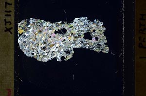 Cross Polarized, S44508