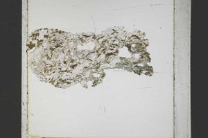 Plane Polarized, S44508