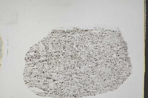 Plane Polarized, S44511