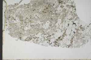 Plane Polarized, S44519
