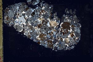 Cross Polarized, S44524