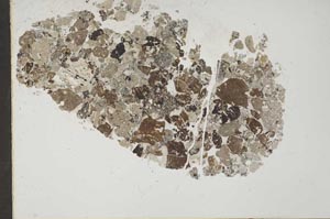 Plane Polarized, S44524