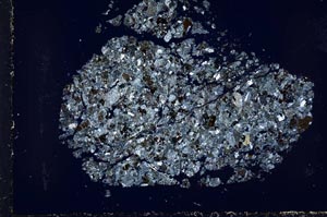 Cross Polarized, S44526