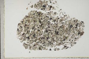 Plane Polarized, S44526