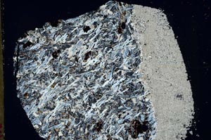 Cross Polarized, S44527