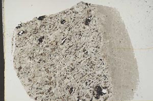 Plane Polarized, S44527