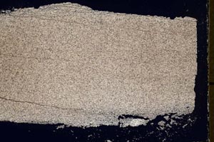 Cross Polarized, S44542