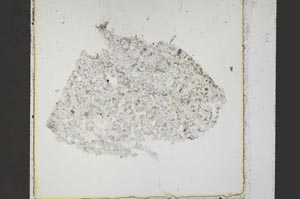Plane Polarized, S44546