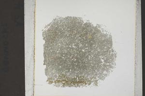 Plane Polarized, S44552