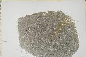 Plane Polarized, S44553