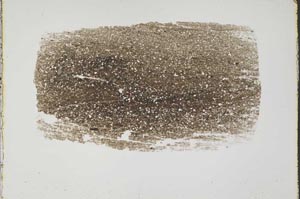 Plane Polarized, S44555