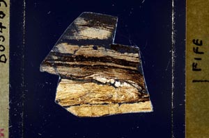 Cross Polarized, S44561
