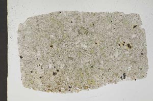 Plane Polarized, S44568