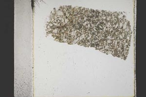 Plane Polarized, S44575