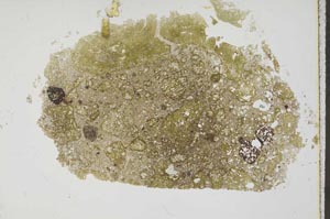 Plane Polarized, S44592