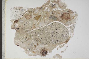 Plane Polarized, S44609