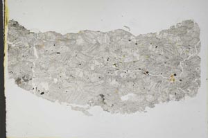 Plane Polarized, S44616