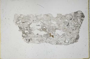 Plane Polarized, S44617