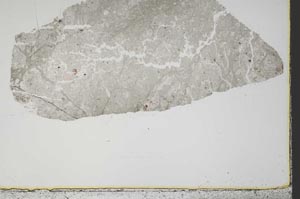 Plane Polarized, S44632