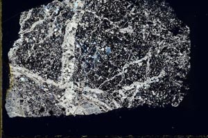 Cross Polarized, S44633