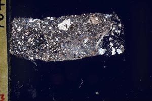 Cross Polarized, S44634