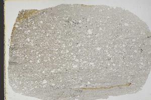Plane Polarized, S44637