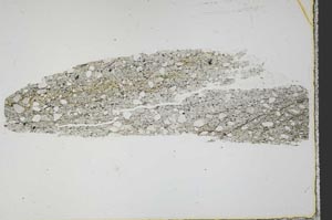 Plane Polarized, S44638