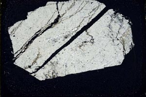 Cross Polarized, S44639